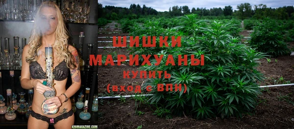 прущие грибы Богородицк