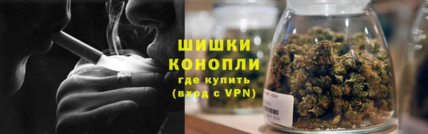 прущие грибы Богородицк