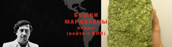 прущие грибы Богородицк