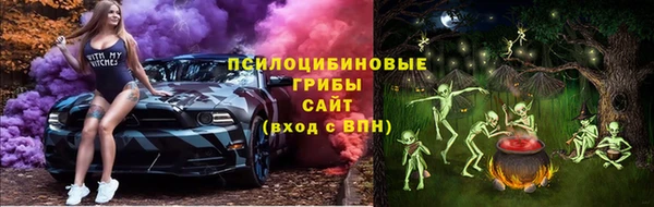 прущие грибы Богородицк