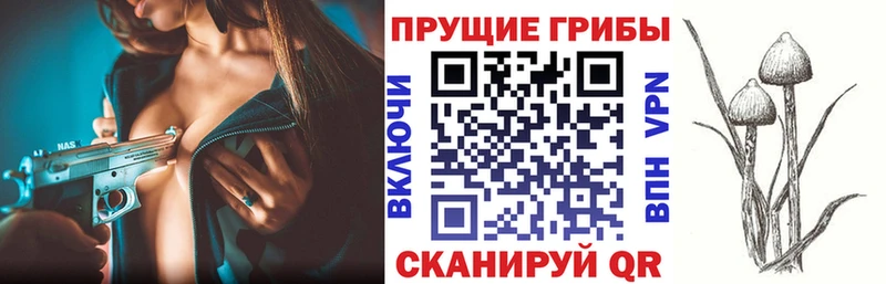 Псилоцибиновые грибы мухоморы  Архангельск 